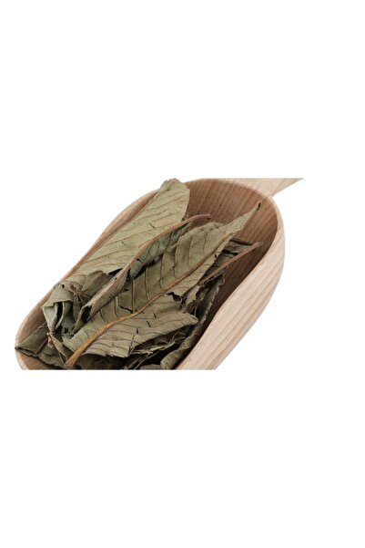 alatara Guava leaves 250 grams