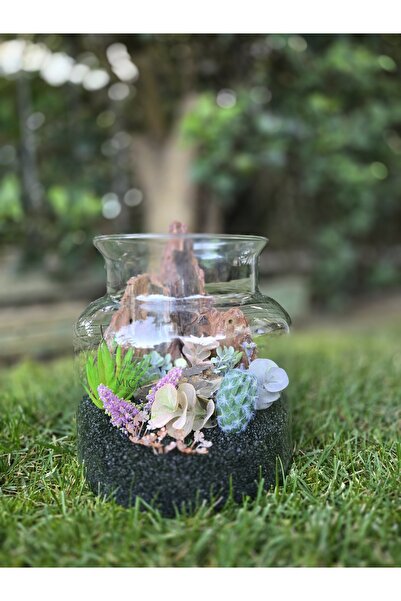 Decoroon El Yapımı Cam Teraryum – Siyah Kum, Ağaç Dokusu, Kaktüs & Sukulent D...