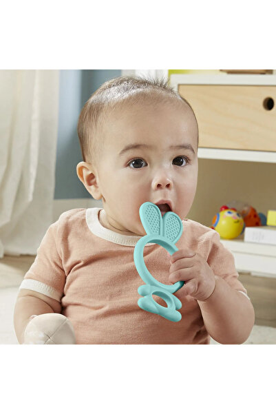 FISHER PRICE Teething Toy for Babies - Blue Bunny