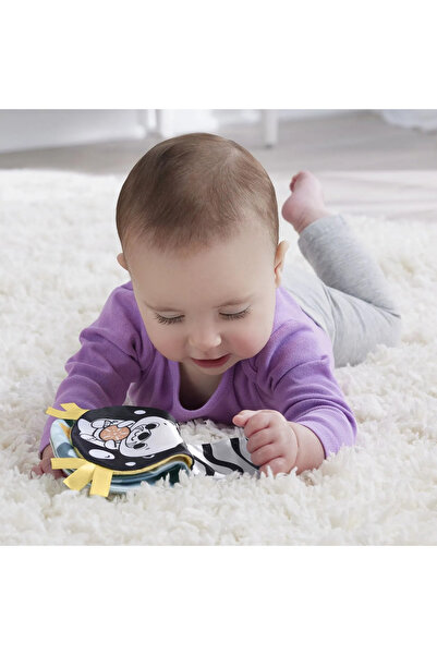 FISHER PRICE Fisher-Price 2-in-1 Sensory Tummy Time Otter for Babies