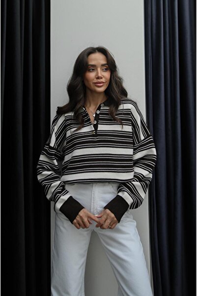 Havoş Καφέ πουλόβερ με ριγέ γιακά πόλο Greg