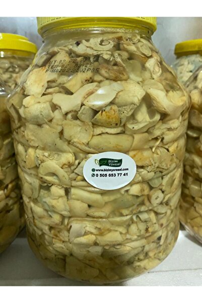 Bizim Yöresel Akkuş Dağ Mantarı Tuzlaması (5 kg)