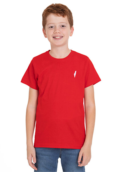 Zaytoon T-Shirt- Cotton Palestine Map Embroidered Children's T-Shirt