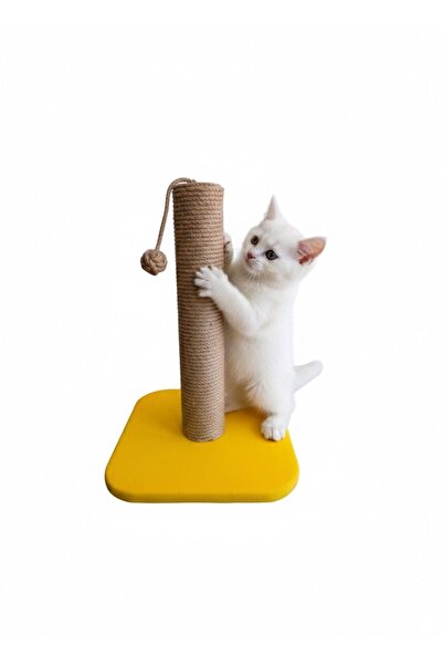 Shiny Desing Cat Scratching Board