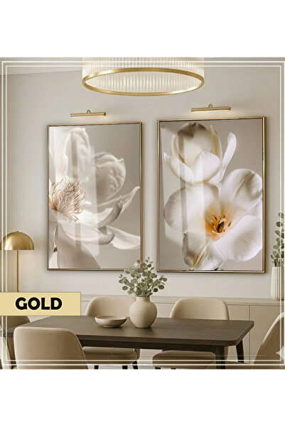 Harikabirev HARİKABİREV | MOLECULARE |   COMBINAT DE ORCHIDEE CULOARE ALB-CRE...