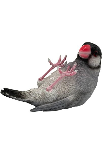 B&D PARROT Decorative Java Finch Bird Figurine, Gray and Black with Red Beak, Realistic Garden Ornam