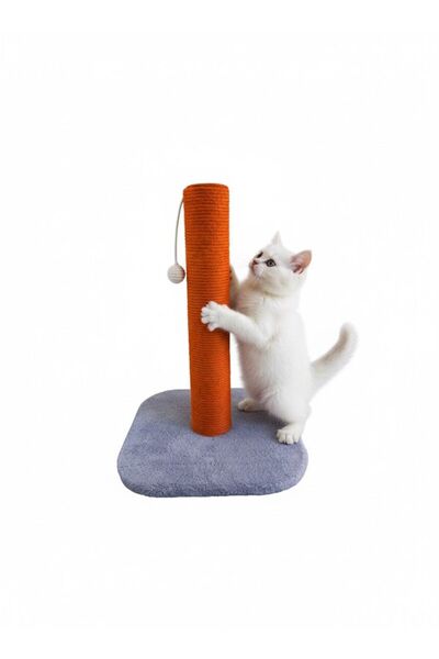 Shiny Desing Cat Scratching Board