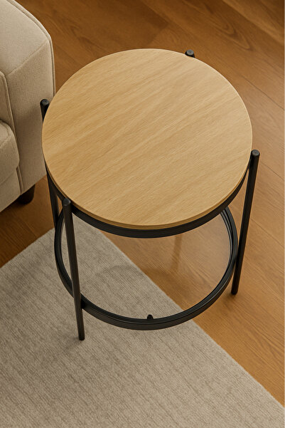 GESR HOME Modern Side Table with Wood and Metal Design – A Touch of Elegance in Your Living Room