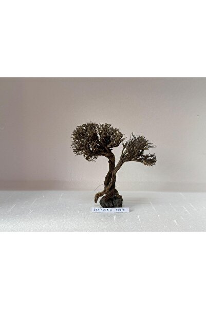 Meç Moss Ağaç Figürü Kök (No:50015) [20x7x19h]