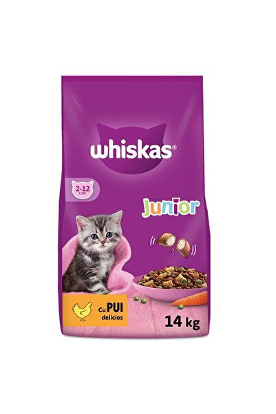 Whiskas Junior, Chicken, dry food for junior cats
