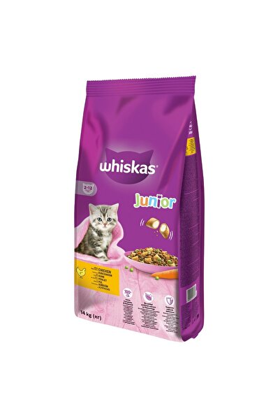 Whiskas Junior, Chicken, dry food for junior cats