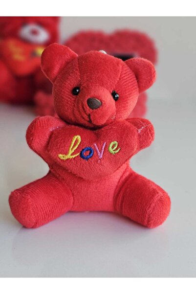 FİORELLA HEDİYE 2 RENK-SEVGİLİYE HEDİYE KUTUSU-PELUŞ AYICIK,KAR KÜRESİ,KOLYE-SEVGİLİLER GÜNÜ,DOĞUM GÜNÜ