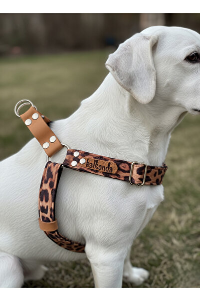 balkonda طوق للكلاب مناسب للسلالات الصغيرة والمتوسطة والكبيرة، مع حزام قابل ل...