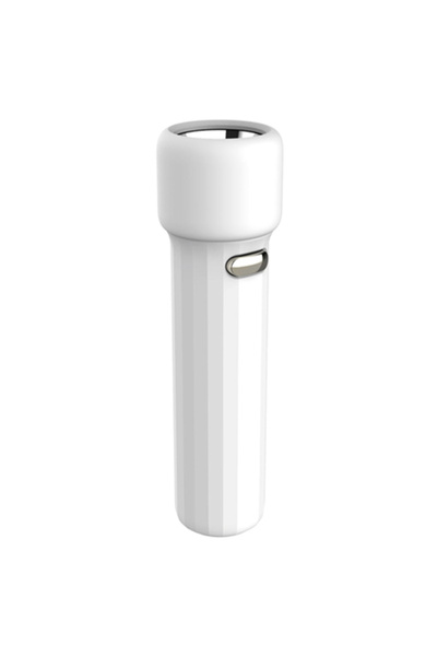 Platinet Set de 30 de lanterne LED, alb cald,