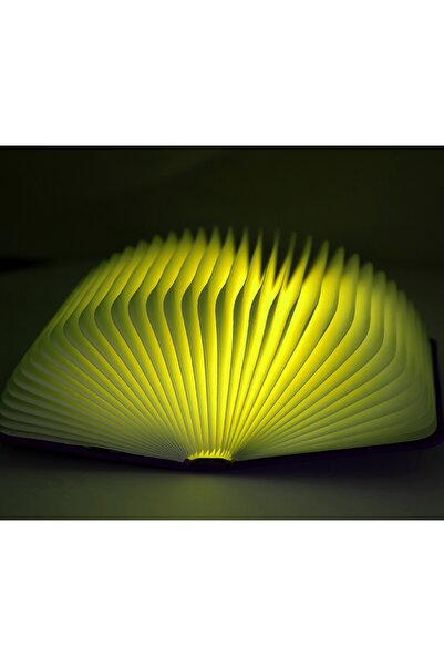 OEM BLUE OPEN BOOK WALL LAMP