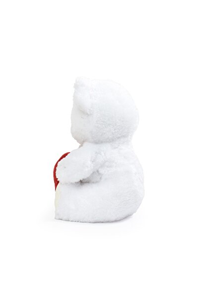 Pababo Premium Gift Box Cute Cinnamon Plush Teddy Bear |   I Love You Written Heart Figure