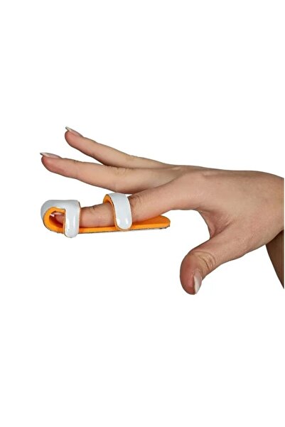 ORLEX مركز البيسبول