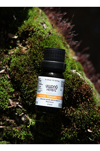 ULUDAĞ HERBAL Carrot Seed Oil 100 ml (Maceration)