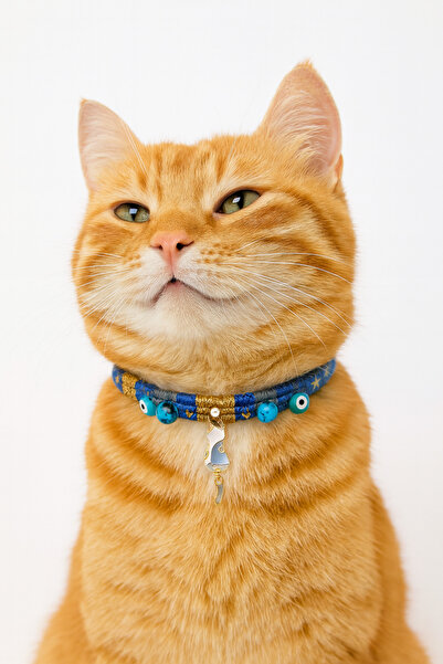 She Sells Handmade Evil Eye Beaded Cat Charm Necklace for Cats & Small Dogs – Adjustable Denim Fabric