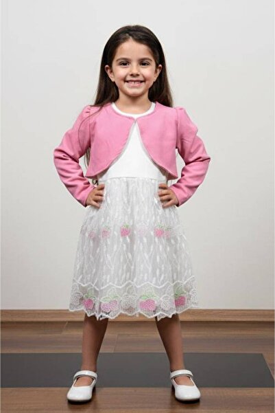 diamondstar Girls' Tulle Long Sleeve Holiday Princess Wedding Party Birthday Dress 2/5 Years Old