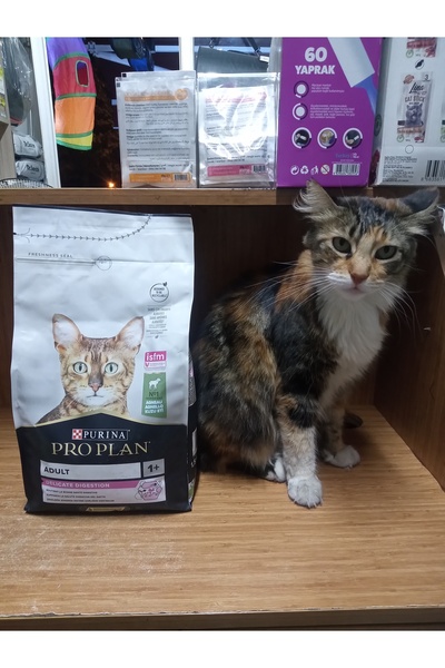 Pro Plan Delicate Kuzu Etli Kedi Maması 1.5 kg+2 PAKET( 6 ADET LİNA TAHILSIZ KUZU ETLİ KEDİ ÖDÜL STİCK)
