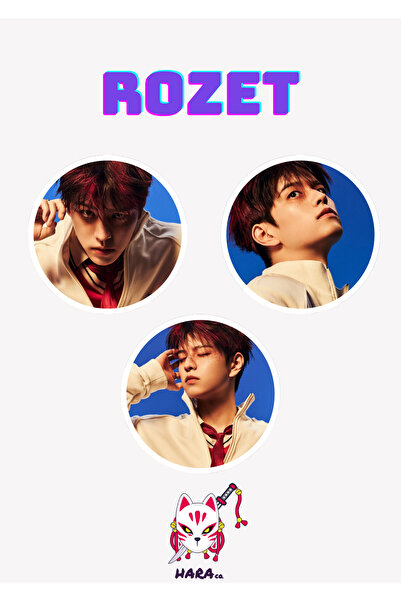 Hara Company Stray Kids Kpop Karma Albüm Hooray Versiyonu Seungmin Rozet Seti...