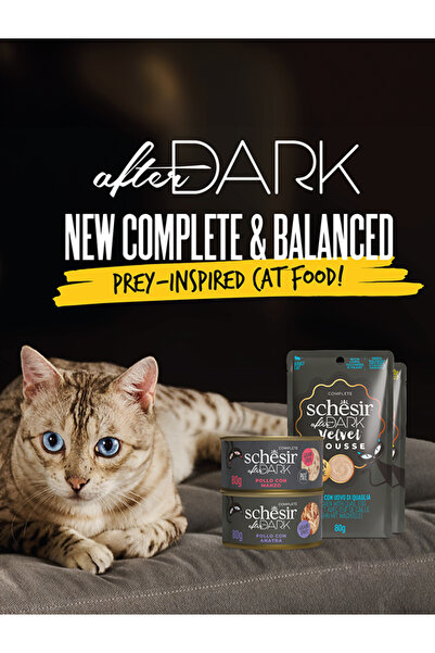 Ferplast سرير فيوري 50 للسيدات، الأبعاد: 45 × 35 × 17 سم