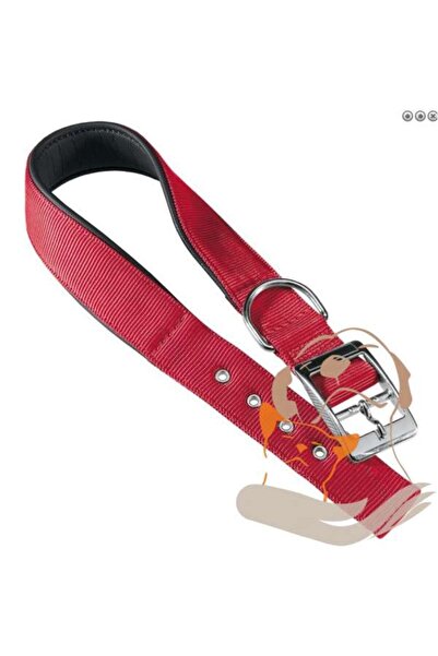 Ferplast طوق الكلاب دايتونا سي نايلون، اللون: أحمر، الأبعاد: 35-43 سم × 20 مم