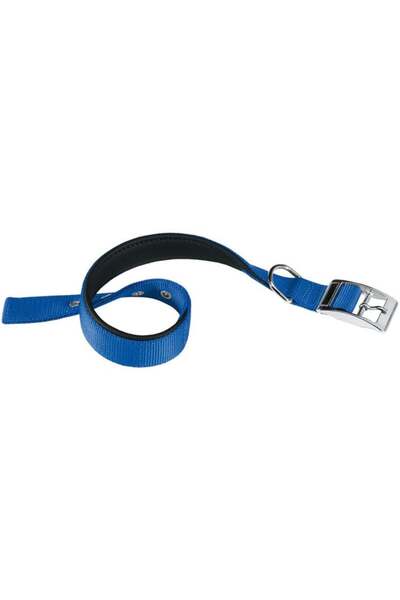 Ferplast طوق الكلاب دايتونا سي نايلون، اللون: أزرق، الأبعاد: 35-43 سم × 20 مم