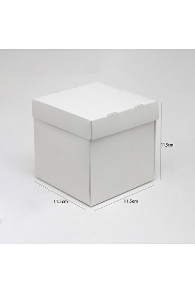 Generic Candy and burger boxes with attached lids