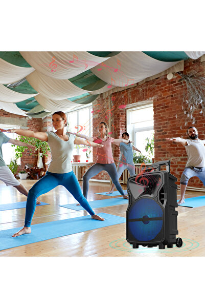 singe ZQS12129 12 Inch DJ System Karaoke Party Trolley Speaker With Two Microphone