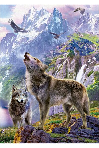 EDUCA Wolves in the Rocks Puzzle - 500 Pieces