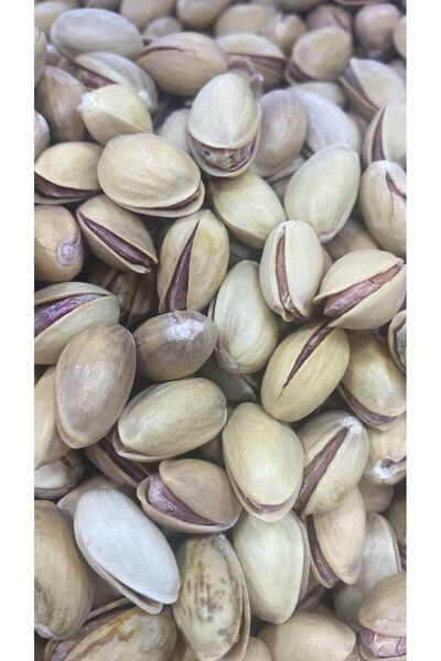 KAVEDİ فستق سييرت 500 جرام