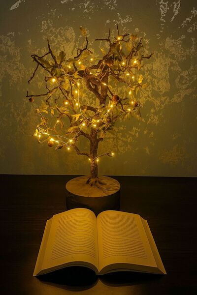 DREAMRUG Ahşap Dekoratif Doğal Lambader Alıç Ağacı - Işıklı - 50 cm