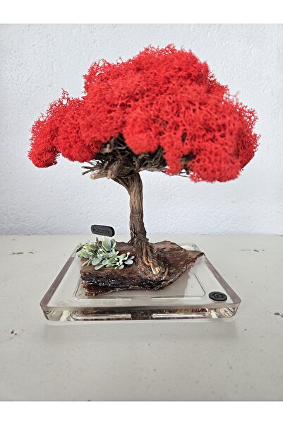 Decoroon El Yapımı Kırmızı Bonsai Ağaç – Doğal Dal Tabanlı Dekoratif Masa Dekoru