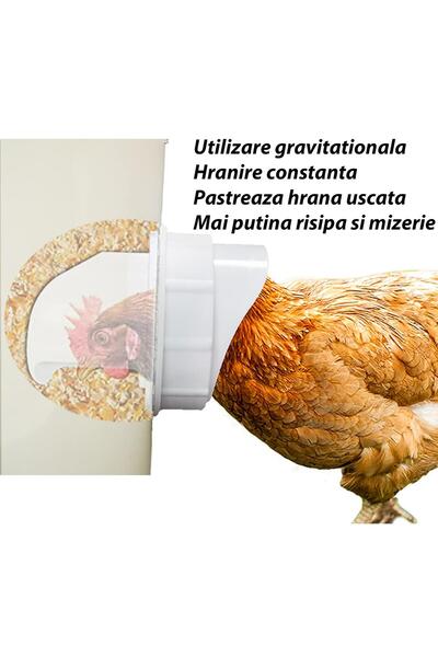 Onuvio Bird Feeders - Set of 4 Feeding Holes, Drill Bit Included - Anti-Spill, Anti-Moisture and Protection