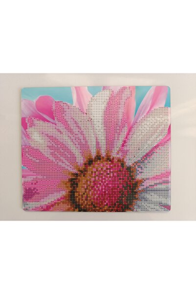 mentaş grup Beaded Rhinestone Mosaic Diamond Tapestry Pono Painting Picture Puzzle For Children 21x25