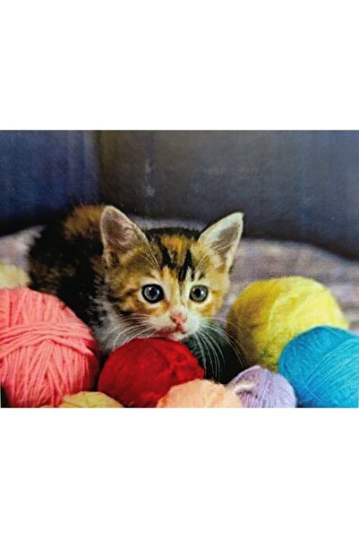 mentaş grup Boncuklu Taşlı Mozaik Elmas Goblen Pono Tablo Resim Puzzle Çocuklar Için 21x25