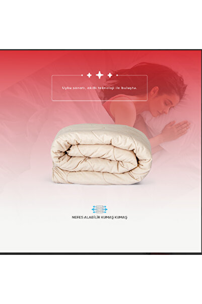 PUFYMAX Welsoft Comforter Set, Double-Sided, Double Set (2 Silicone Pillows and Cases as a Gift) Kapucino