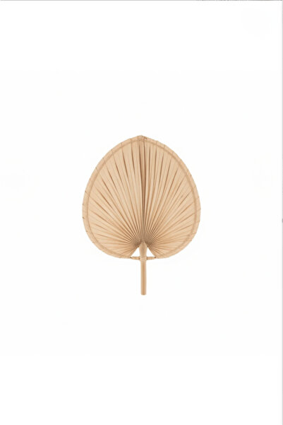 GUNBO HOME Aura Medium BOY Palmiye Yaprağı Duvar Süsü, Japon Yelpazesi Bohem Stil Dekorasyon, 30 x 20 cm