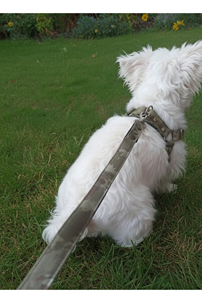 balkonda Dog Harness Adjustable and Walking Strap Small, Medium Breed Set Sui...