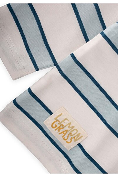 Cigit Striped Transitional T-Shirt 1-10 Years Mint Navy Blue Striped