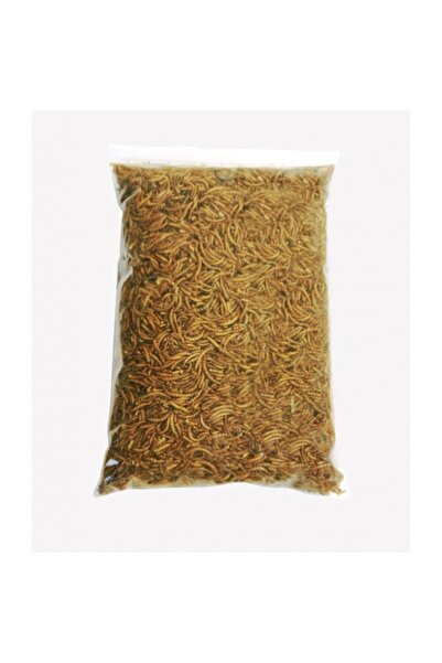 Golden cat Dried Mealworms (1 KG)
