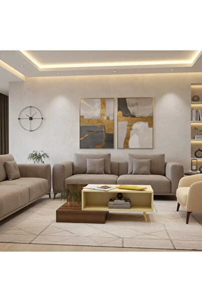 Stylish Home Modern brown and beige coffee table - CT55