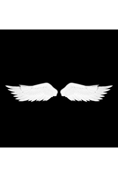 Crioflowers Aripi Inger 300cm