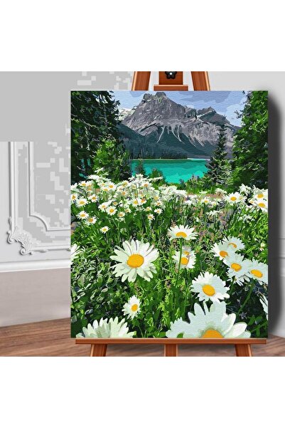 Royal Painting by numbers set (canvas) Chamomile at the foot of the mountain
