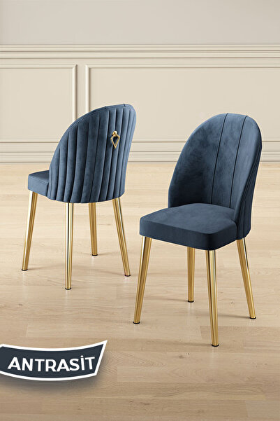 Canisa Mara Serisi 1 Adet Antrasit Mutfak Sandalyesi Gold Kaplama Metal Ayak ...