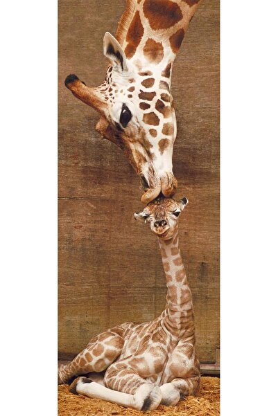 RAVENSBURGER The First Kiss Vertical Panoramic Jigsaw Puzzle - 1000 Pieces