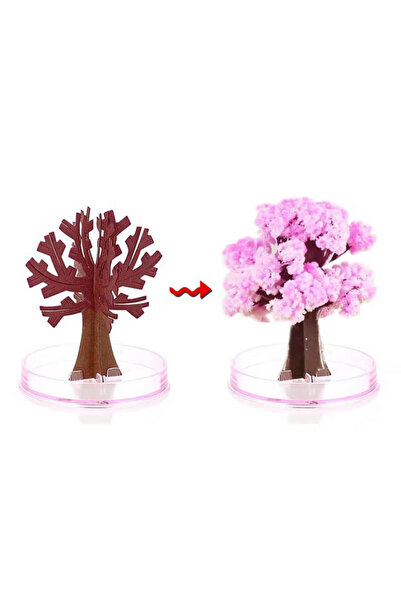 SMANIA Wondertree™ Magic Paper Christmas Tree (2 pcs), Cherry (2 pcs)