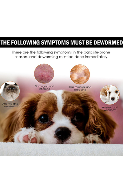 YEGBONG 30ml Flea Tick Treatments Pet External Insects Repellent Drop Anti-Flea for Cats Dogs